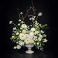 Ivory Serenity