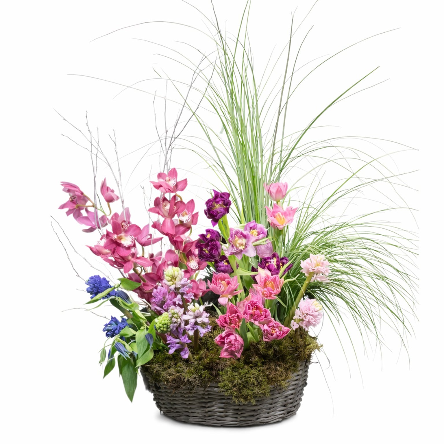 Floral Breeze