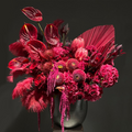 Crimson Opera