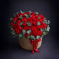 Red Reverie