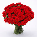 Red Icon