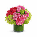 Pink Harmony